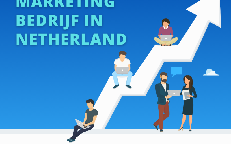 Zoekmachine marketing bedrijf  in Netherland