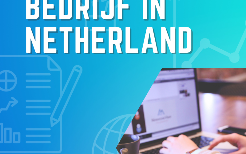 Beste SEO bedrijf in Netherland